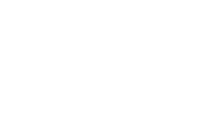 شاتي كارغو | Shati Cargo